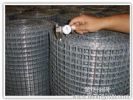 Supply Stainless Steel Welded Wire Mesh